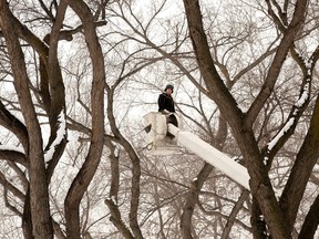 Gli equipaggi con Alberta Arborists tagliano gli alberi sul terreno della legislatura dell'Alberta a Edmonton, martedì 12 gennaio 2018. 10, 2023.
