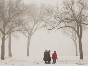 Pedestrians walk through the heavy fog in Edmonton's Hawrelak Park, Tuesday, Jan. 10, 2023. Environment Canada issued a special air quality statement for Edmonton and surrounding areas.