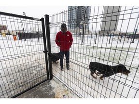 Dogs play in a fenced-in dog park near the Downtown arena on Monday, Jan. 16, 2023, in Edmonton.