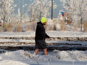 A pedestrian in shorts makes their way past hoar frost covered trees and piles of snow along Maple Road near 17 Street, in Edmonton, Wednesday, Jan. 18, 2023.
