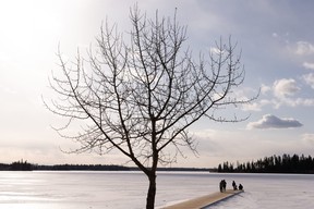 Families visit the dock at Astotin Lake at Elk Island National Park outside of Edmonton, on Tuesday, March 30, 2021. The national park is one of several attractions organizing Family Day activities for Monday, Feb. 20, 2023.