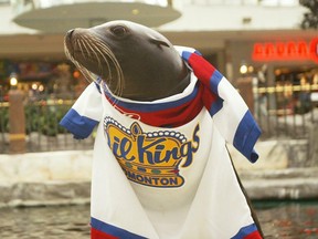Kelpie the sea lion wears an Oil Kings jersey at West Edmonton Mall on Dec. 12, 2007. The mall announced that it had euthanized the 28-year-old marine mammal on Feb. 15, 2023.