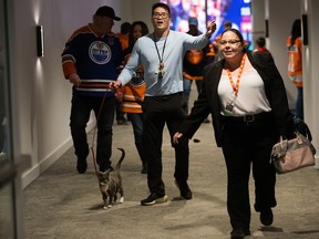 Mary Jane the cat goes for her nightly walk through the Ice District pedway system with her owner following the Edmonton Oilers win over the Philadelphia Flyers, Tuesday, Feb. 21, 2023.