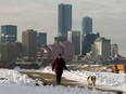 A pedestrian walks their dog along Strathearn Crescent near 87 Street, in Edmonton Sunday Nov. 15, 2020.