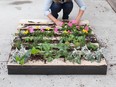 Using pallets is a creative way to approach container gardening by creating vertical beds or repurposing the wood to build raised beds, but ensure it's a food-safe pallet.