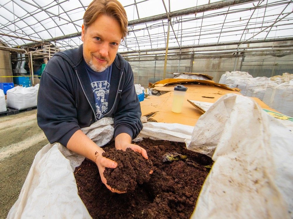 Growing Things Create the best growing soil Edmonton Journal