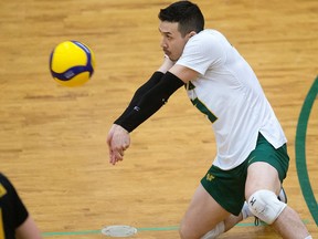 Landon Currie (11) dari University of Alberta Bears melawan University of Manitoba Bisons selama aksi semifinal bola voli Canada West di Edmonton, Kamis, 23 Februari 2023.
