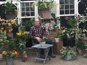Darrell Albert, a member of the Orchid Society of Alberta, with some of his prize-winning orchids at the 2019 Orchid Fair at the Enjoy Centre in St. Albert.
