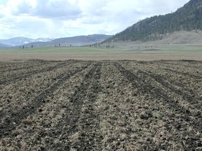 A field after biosolids have been distributed.