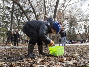 Kohl Braithwaite, 4, takes part in the beeping easter eggs hunt which allows children with sight loss to participate in a classic Easter egg hunt on Sunday, April 2, 2023, in Edmonton. The Edmonton Police Service has teamed up with the Edmonton Police Foundation for the Beeping Eggs Project.