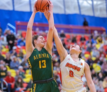 University of Alberta Pandas forward Claire
Signatovich and University of Calgary Dinos forward Mya Proctor fight for the ball during Canada West Women's basketball final action at the University of Calgary on Saturday, March 4, 2023. The U of A won the game 76-65.