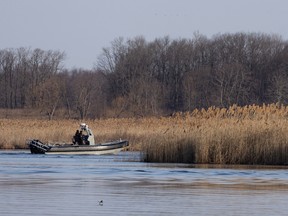 Police search the marshland where bodies were found in Akwesasne, Quebec, Canada March 31, 2023.