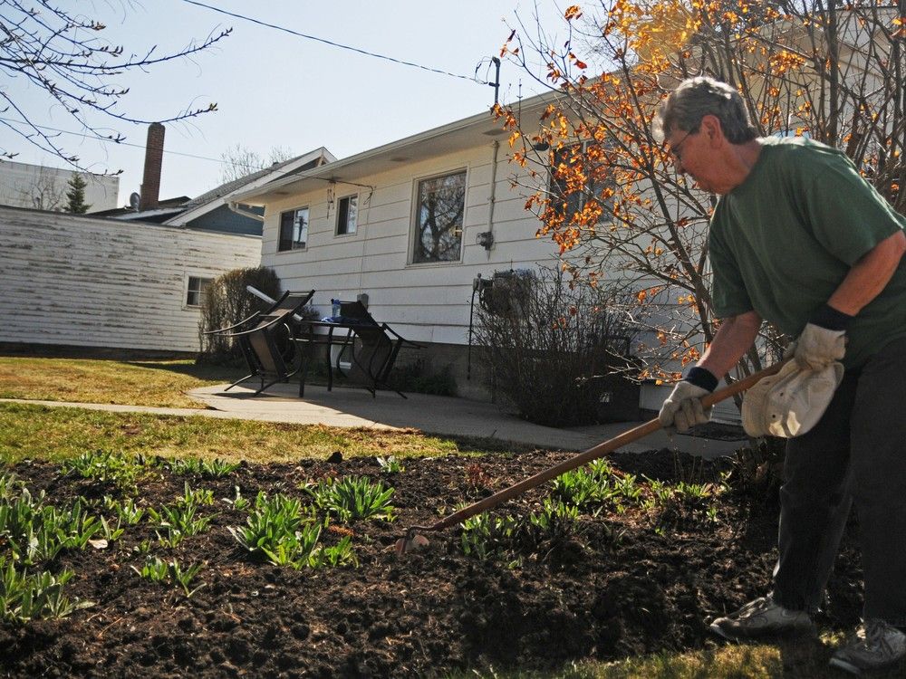 Growing Things Fertilizer isn't for every plant Edmonton Journal