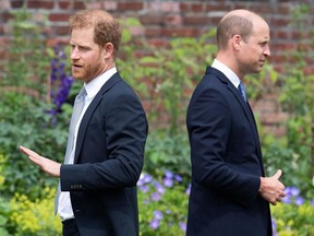Prince Harry (left) and Prince William in 2021.