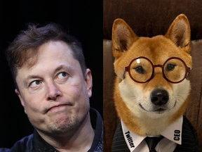 Elon Musk laughed at his own jokes, mentioning more than once during an interview with BBC that he wasn’t the CEO but his dog Floki (pictured) was.