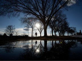 A pedestrian is silhouetted against a puddle in in Edmonton's Constable Ezio Faraone Park, Monday April 3, 2023.