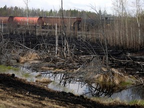A train stops by a burnt area just off Highway 16 in the Yellowhead County area in Alberta on May 9, 2023.