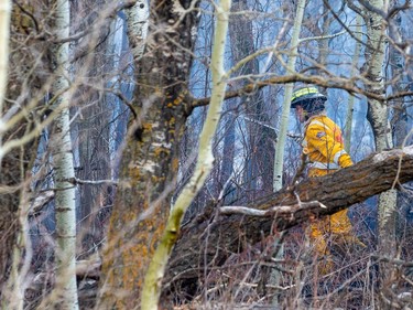Firefighters work to stop a fire coming through trees as it gets close to homes near Graydon Hill Link and Graydon Hill Way on Monday, May 1, 2023 in Edmonton.