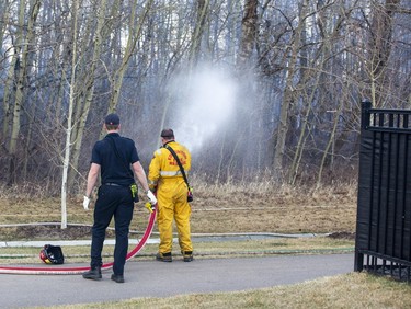 Fire fighters work to stop a fire coming through trees as it gets close to homes near Graydon Hill Link and Graydon Hill Way on Monday, May 1, 2023 in Edmonton.