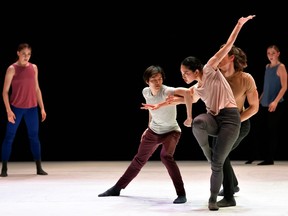 Ballet Edmonton's Sumo of All Parts