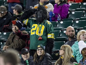 An Edmonton Elks fan in a gorilla suit salutes during a game agains the B.C. Lions at Commonwealth Stadium in Edmonton on Oct. 21, 2022.