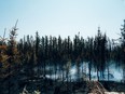 Smoke rises from burning trees near Chapais, in northern Quebec, on Friday, June 2, 2023, in this image provided by the fire prevention agency known as SOPFEU.