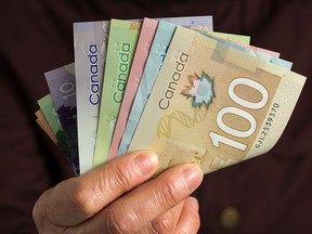 Canadians' cash cushion may not be as big as the Bank of Canada thinks, say economists.