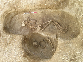 An adult man (top skeleton) buried some 6,000 years ago in what is now France was a son of the man from whom dozens of people also buried at the site are descended.