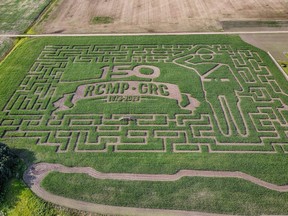 Edmonton Corn Maze
