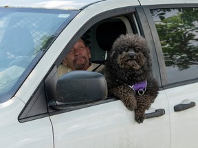 cute dog