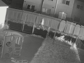 Suspect running