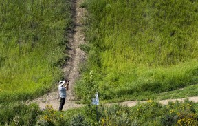Edmonton river valley