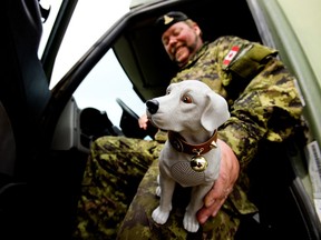 Edmonton soldiers