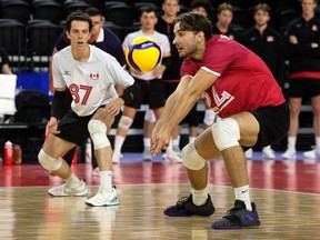 Edmonton volleyball