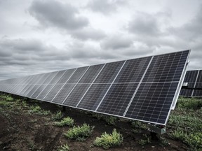 A renewable energy group says new requirements for wind and solar projects create further problems for a booming industry that government policy has already slowed. Solar panels pictured at the Michichi solar project near Drumheller on July 11, 2023.