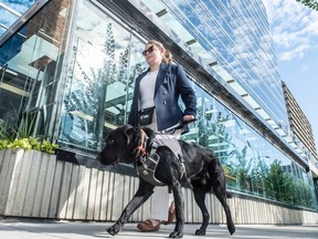 Guide Dog Access Awareness Month