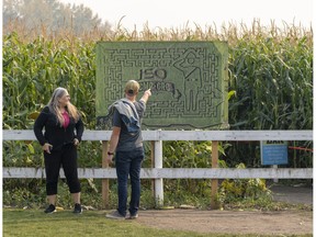 A man and a woman check out a large sign showing the RCMP-inspired design of the corn maze with a white fence and field of corn in the background