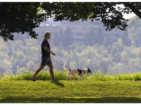 Dog walker