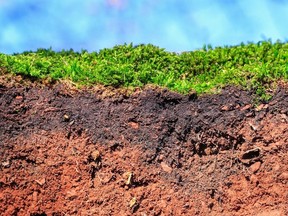 Landscaper said the topsoil was not clean, “but full of garbage, debris, gravel and rocks,” according to the claim.