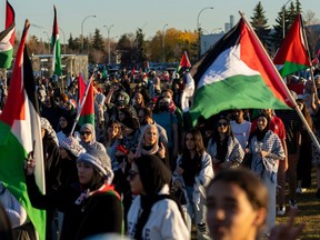 Israel-Palestine rally