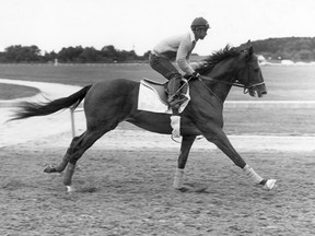 Turcotte
