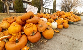 Edmonton pumpkins