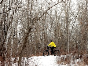 A cyclist rides a fat bike through the Terwillegar trails above the river valley, in Edmonton Monday Jan. 29, 2024.