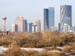 Alberta drought