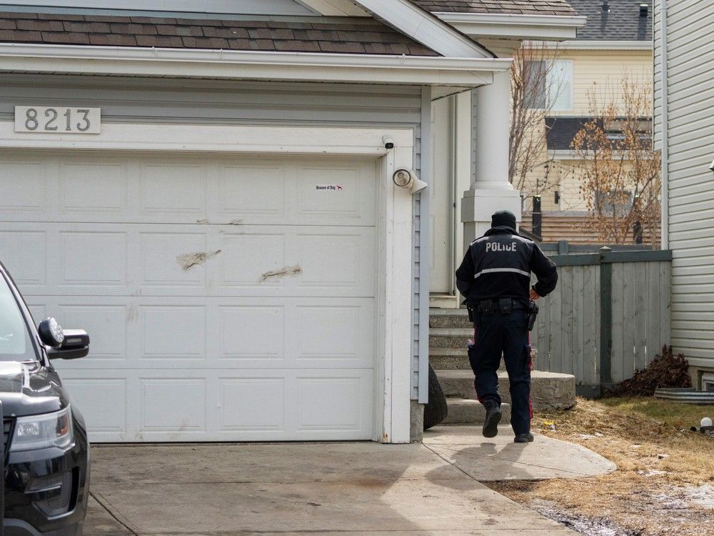 Woman suffered earlier canine attack at Edmonton home where dog killed boy: Lawyer – Edmonton Journal