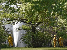 Firefighters managed to contain a fire that started in the river valley along Saskatchewan Drive near 72 Avenue above the east end of the Whitemud Equine Learning Centre in Edmonton on May 29, 2019.