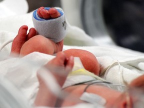 Edmonton neonatal beds