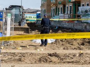 Edmonton homicide