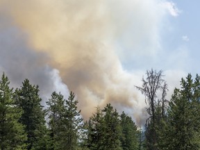 Jasper wildfires