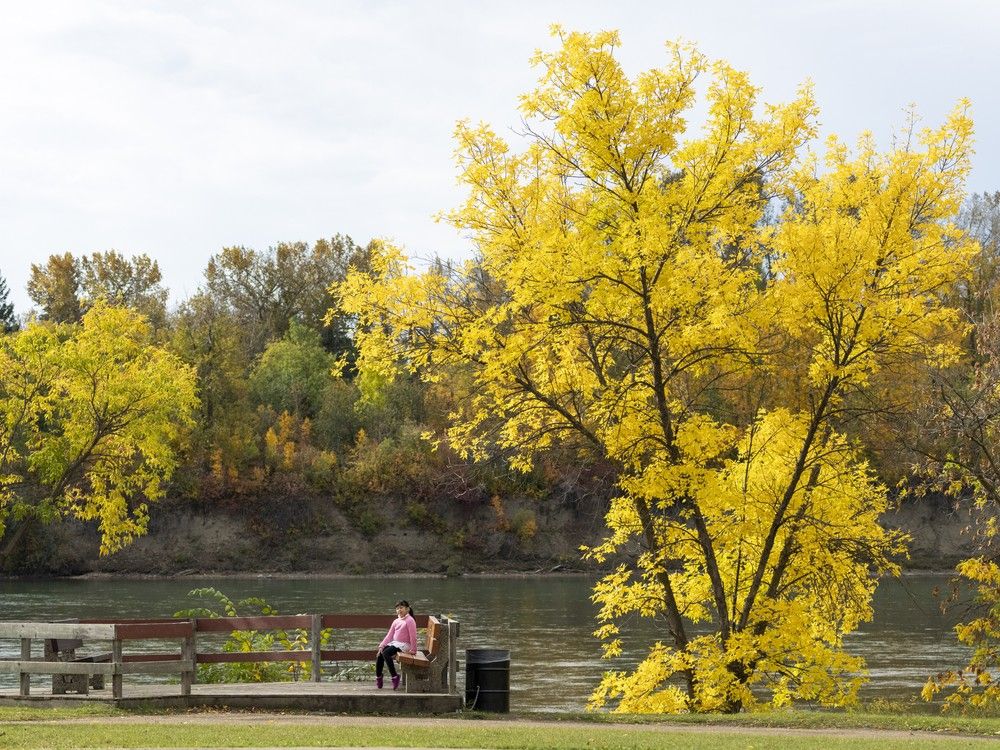 Edmonton weather Heavy winds blow in more cool Autumn weather